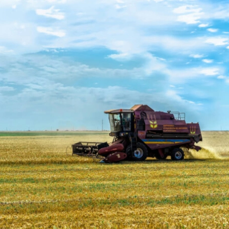 Premium fertilizers for sustainable farming—supporting soil health, plant nutrition, and higher productivity.