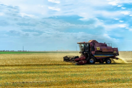Premium fertilizers in UAE – Boosting crop yield & soil health with sustainable solutions.